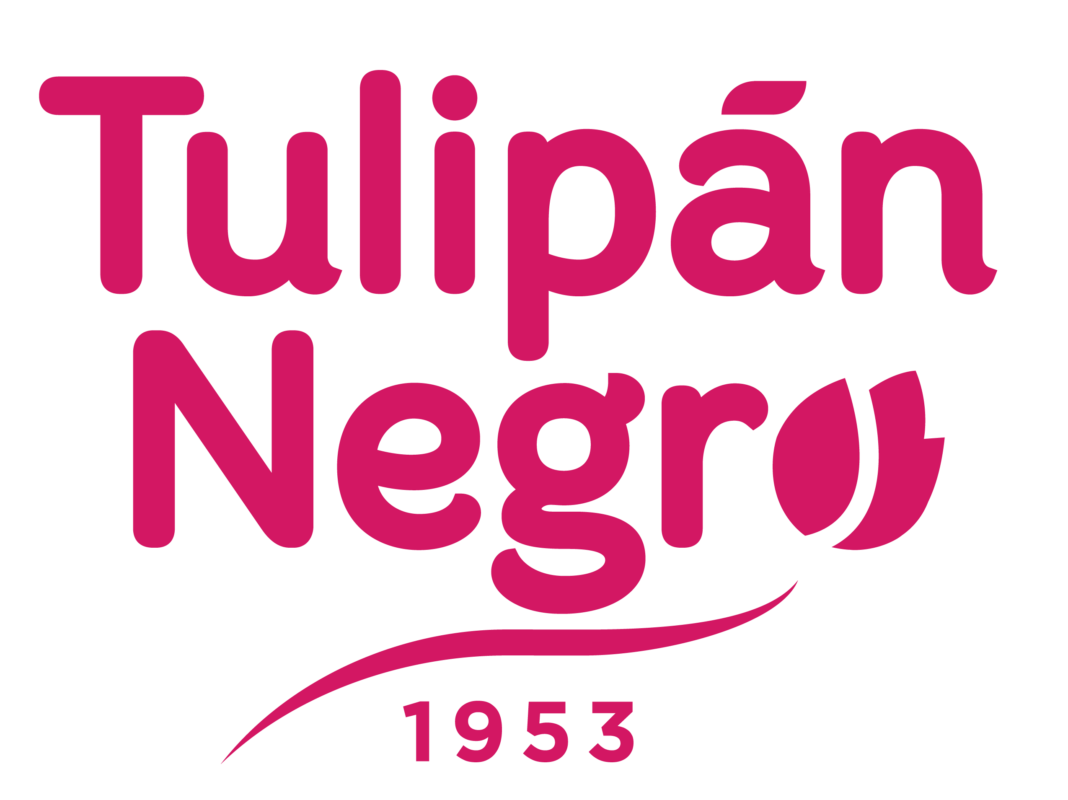 TULIPÁN NEGRO