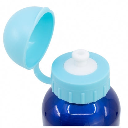 Botella de aluminio Frozen