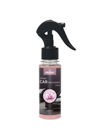 AMBIENTADOR COCHE SPRAY YANI 100 ML